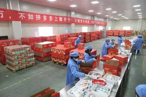 拼多多助力農(nóng)貨文旅破圈出川 四川脫貧攻堅的數(shù)字化探索