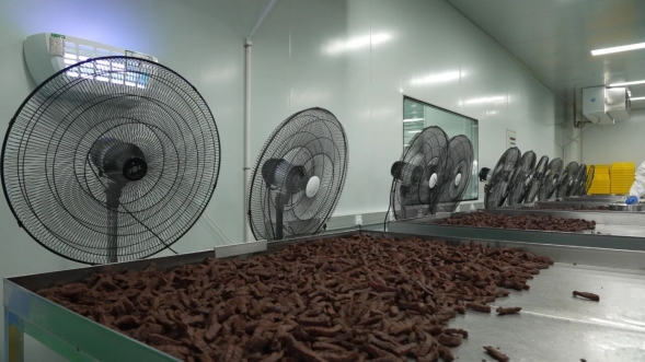 開發(fā)區(qū)肉牛產(chǎn)品 以“牛”品質(zhì)征服全國(guó)市場(chǎng)